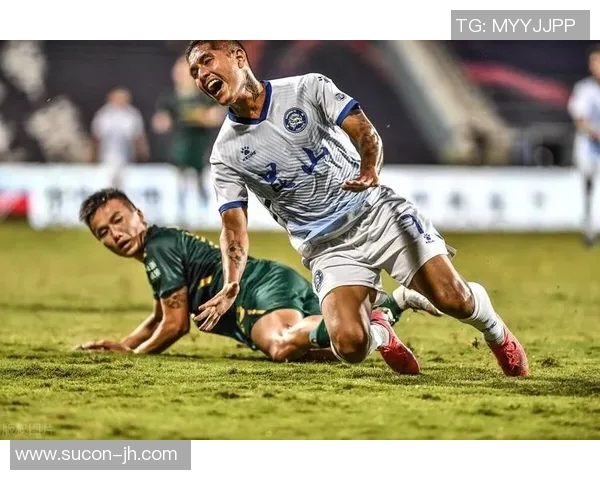 瑞典与秘鲁足球比赛数据深度分析及战术对比探讨